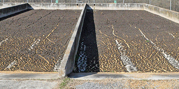 Design & Start-up of Sludge Decanting & Removal System